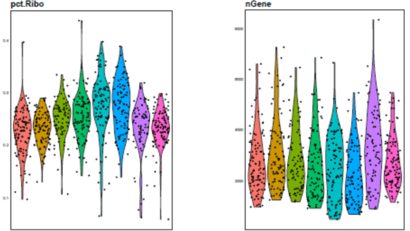 Violin plots generated with Seurat on R_ dropSeqPipe