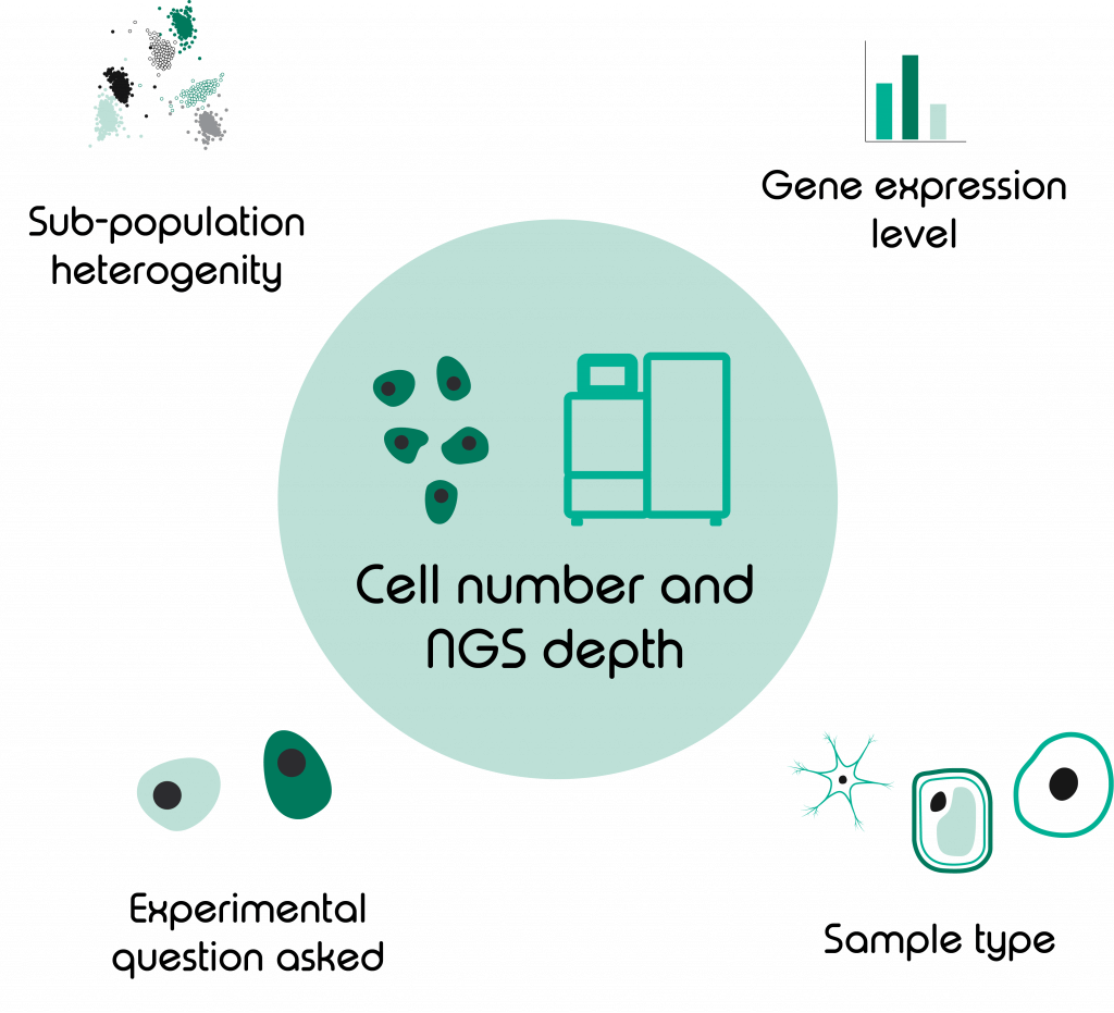 cell number NGS depth- scRNA-Seq