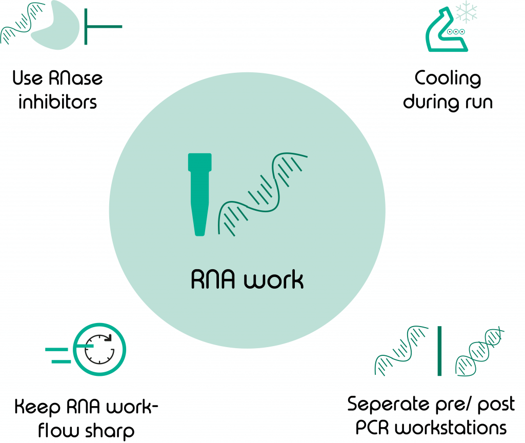 RNA Work- scRNA-Seq